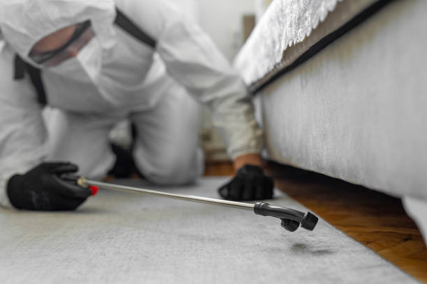 Professional Cockroach Control technician working in Farley, IA
